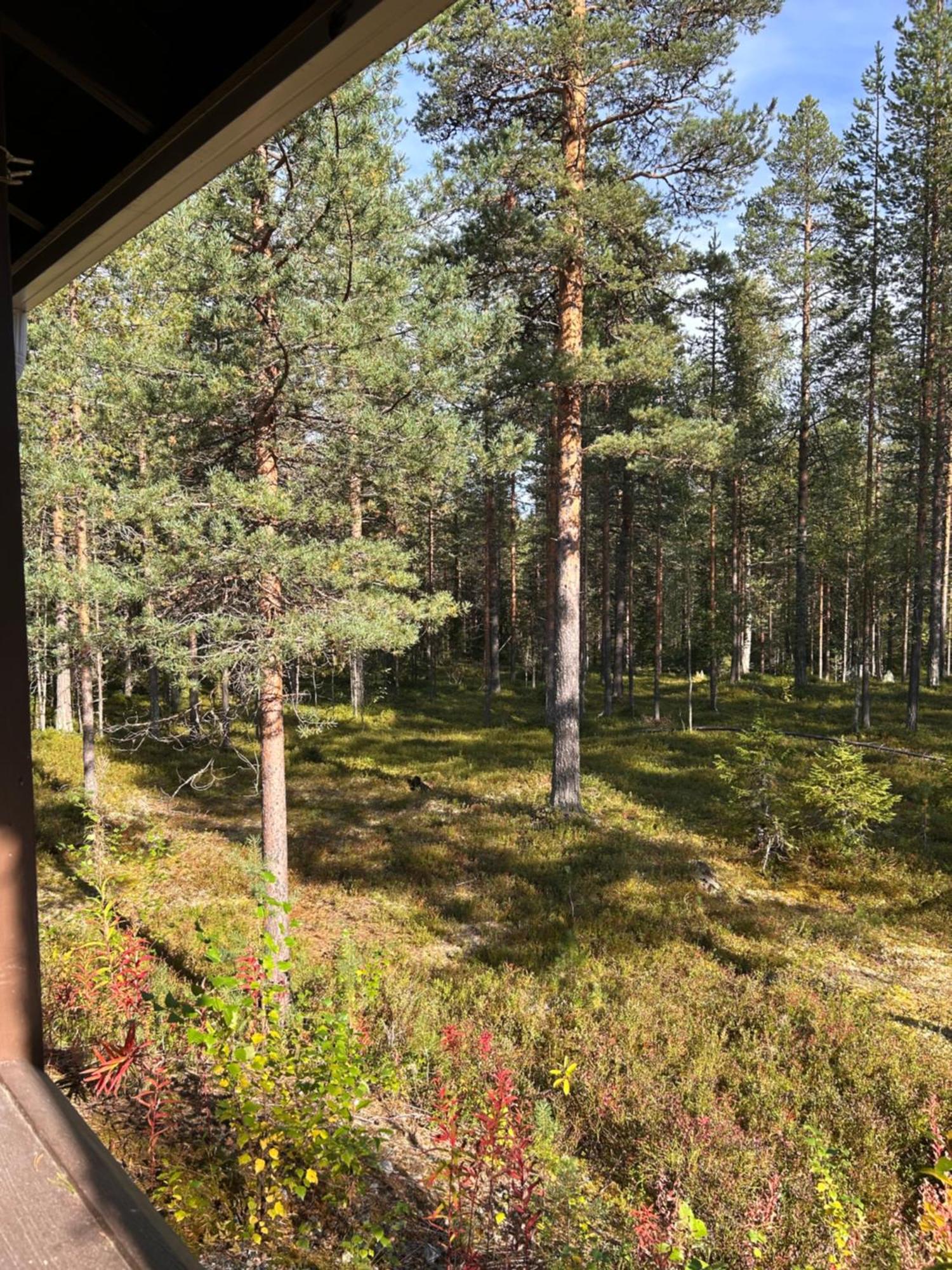Unelmasaeleikkoe 2 Kittilä Dış mekan fotoğraf